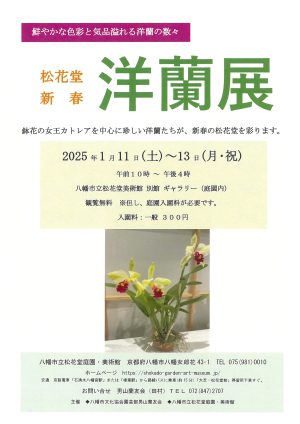 松花堂新春「洋蘭展」の開催について