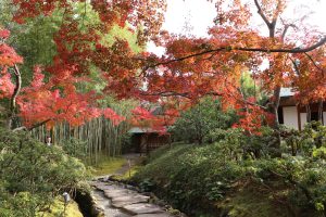 日本伝統文化体験 煎茶イベントを更新しました